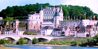Visite culturelle : chateau d'Amboise et autres chateaux de la Loire
